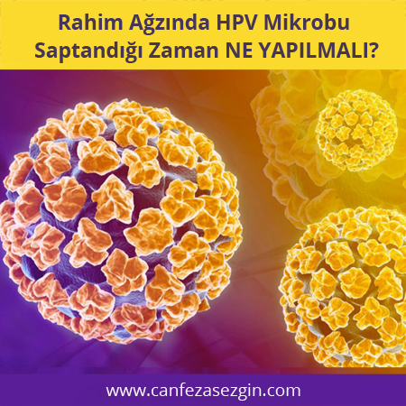 Tények a HPV elleni védőoltásról | MTA Papillomavírus elleni vakcina az első jelentés után