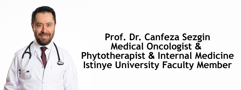 Canfeza Sezgin Contact
