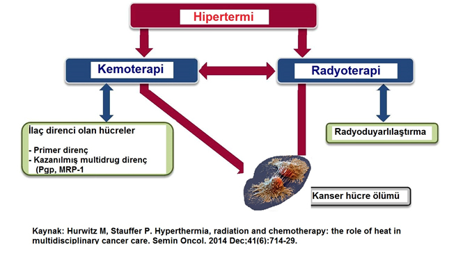 mesothelioma tonofilament