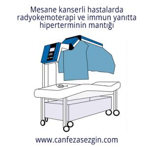 Mesane Kanserli Hastalarda Radyokemoterapi ve İmmün Yanıtta Hiperterminin Mantığı