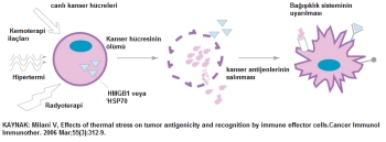 Hipertermi Hanserin Yardımcı Tedavisinde Nasıl Yarar Sağlar?