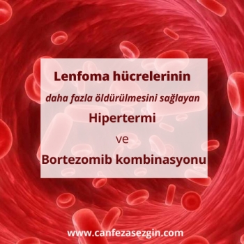 Hipertermi ve Bortezomib Kombinasyonu ile Lenfoma Hücrelerinin Daha Fazla Öldürülmesi