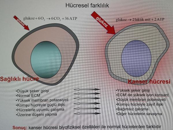 Hiperterminin Yan Etkileri Nelerdir?